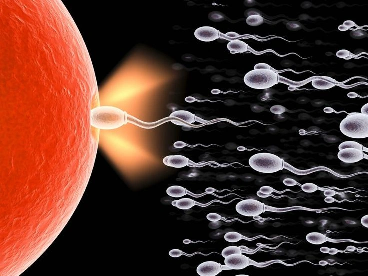 Teratozoospermia, Penyebab Sperma Abnormal yang Ganggu Hamil
